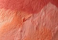 Abstract hairy background in the color of the year 2024 Peach Fuzz