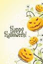 Abstract Halloween Background with Flowers Royalty Free Stock Photo