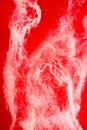 Abstract halloween background. Spider web on a red background. Royalty Free Stock Photo