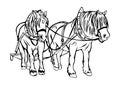 Draft horse vector drawing ~ Royalty Free Stock Photo