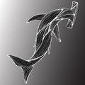 Abstract hand drawn giant hammer shark isolated on gray background. Vector illustration. Outline. Line art. Top view Royalty Free Stock Photo