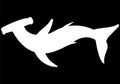 Abstract hand drawn giant hammer shark silhouette isolated on black background. Vector illustration. Outline. Line art. Top view Royalty Free Stock Photo