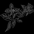 Abstract hand drawn lotus flower isolated on black background. Vector illustration. Outline sketch. Top view Royalty Free Stock Photo