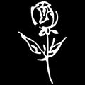 Abstract hand drawn rose flower isolated on black background. Rose flower  outline icon. Line art. Close up Royalty Free Stock Photo