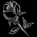 Abstract hand drawn rose flower isolated on black background. Rose flower  outline icon. Line art. Close up Royalty Free Stock Photo