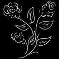 Abstract hand drawn rose flower isolated on black background. Rose flower vector outline icon. Line art Royalty Free Stock Photo