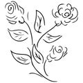 Abstract hand drawn rose flower isolated on white background. Rose flower vector outline icon. Line art Royalty Free Stock Photo