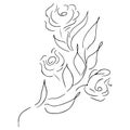 Abstract hand drawn rose flower isolated on white background. Rose flower vector outline icon. Line art. Sketch Royalty Free Stock Photo