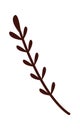 Abstract hand drawn rosemary flat icon