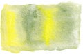 Abstract hand drawn watercolor background. Green and yellow watercolored background.