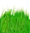 Abstract hand drawn watercolor background: summer landscape with green grass. Great for textures, vintage design, and Royalty Free Stock Photo