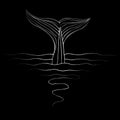 Abstract hand drawn whale tail isolated on black background. Vector illustration. Line art. Sketch Royalty Free Stock Photo