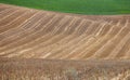 Abstract harvest landscape in the north of france