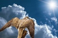 Abstract hawk eagle under sky Royalty Free Stock Photo