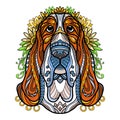 Abstract head of basset hound dog vector illustration