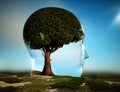 Abstract head on field with a tree as a brain . Self development and growth mindset concept Royalty Free Stock Photo