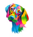 Abstract head portrait of a hungarian vizsla dog from multicolored paints. Dog muzzle Royalty Free Stock Photo