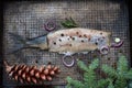 Abstract herring fish with spices and christmas ornament on metal plate creative still life Royalty Free Stock Photo