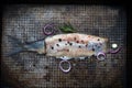 Abstract herring fish with spices on old grunge metal plate creative still life Royalty Free Stock Photo