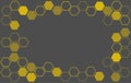 Abstract hexagon Bee hive background vector