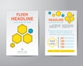 abstract hexagon brochure flyer design layout template in A4 size, vector eps10 Royalty Free Stock Photo