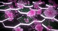 Abstract Hexagon Grid with Cherry Blossoms and Digital Code in Pink and Green Royalty Free Stock Photo