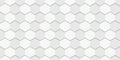 Abstract Hexagon White Background for Presentation. Embossed Futuristic Simple Background. White and Grey Hexagon Banner Royalty Free Stock Photo