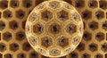 Abstract Hexagonal Honeycomb Structure Macro Detail, Science and Biology Theme Royalty Free Stock Photo