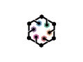 Abstract Hexagonal Network Connection Logo Template with Colorful Nodes Royalty Free Stock Photo