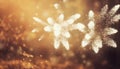 Abstract holiady background with fireworks Royalty Free Stock Photo