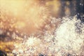 Abstract holiady background with fireworks