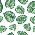 abstract home jungle green leaf garden concept interior modern stylish pattern on white