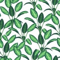 abstract home jungle green leaf garden concept interior modern stylish pattern on white