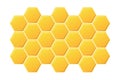 Abstract honeycombs design. Gold honey hexagonal cells texture. Geometric hive hexagonal honeycombs. Vector illustration