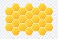 Abstract honeycombs design. Gold honey hexagonal cells texture. Geometric hive hexagonal honeycombs. Vector illustration