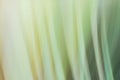 Abstract horizontal grass blurred background in green tones close up, colorful vertical lines Royalty Free Stock Photo