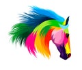 Abstract horse head portrait from multicolored paints. Colored drawing Royalty Free Stock Photo