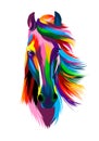 Abstract horse head portrait from multicolored paints. Colored drawing Royalty Free Stock Photo