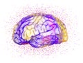 Abstract human brain colorful dots