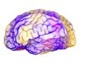 Abstract human brain colorful dots