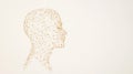 A Abstract Human Head Network Royalty Free Stock Photo