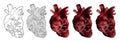 Abstract human hearts, low poly