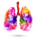 Abstract human lungs with multicolored polygon on white Royalty Free Stock Photo