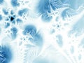 Abstract ice-flowers Royalty Free Stock Photo