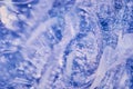 Abstract ice texture. Small ice bubbles with tails. Abstract nature background. Arctic ice. Royalty Free Stock Photo