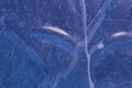 Abstract ice texture. Small ice bubbles with tails. Abstract nature background. Arctic ice. Royalty Free Stock Photo