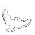 Abstract illustration, black and white silhouette of pigeon, dove.