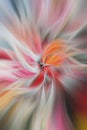 Abstract illustration in a colorful flower illusive shape