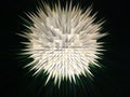 Abstract illustration of explosion of a white sphere