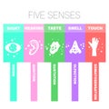 An abstract illustration of the five senses with simple icons